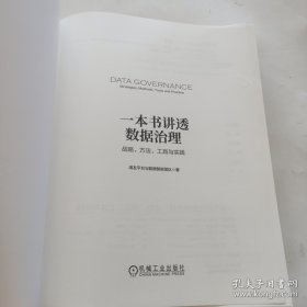 一本书讲透数据治理：战略 方法 工具与实践