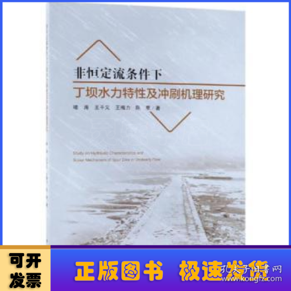 非恒定流条件下丁坝水力特性及冲刷机理研究