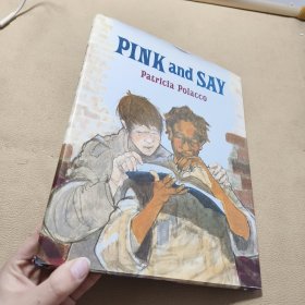 Pink and Say