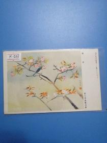 邮政用品明信片日本军事邮便明信片花鸟画樱花烂漫