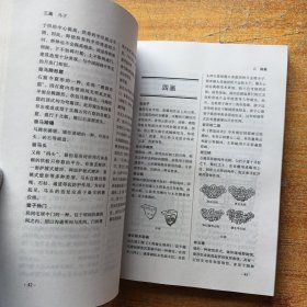 中国古建筑术语辞典 精装【书内没有字迹和划线】