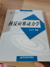 西安交通大学“十一五”规划教材：核反应堆动力学