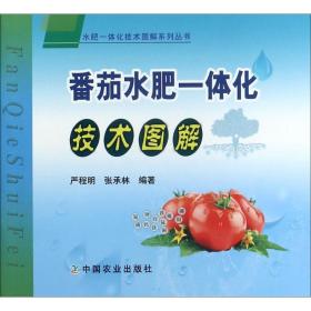 番茄水肥一体化技术图解 种植业 严程明,张承林 编著 新华正版
