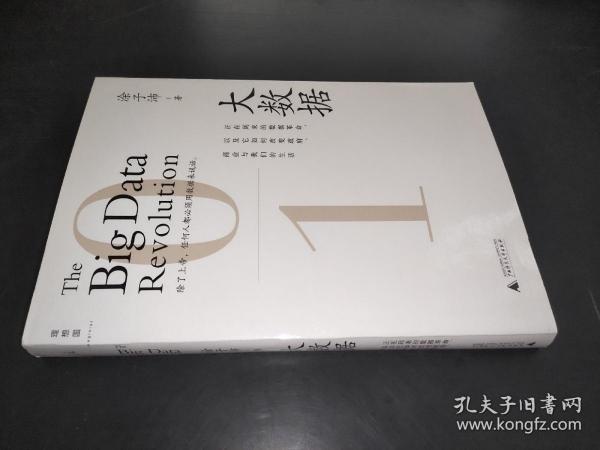 大数据：正在到来的数据革命，以及它如何改变政府、商业与我们的生活