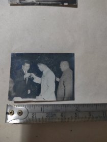 西哈努克 陈毅 王稼祥 原照5张