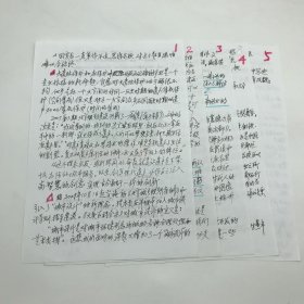 著名古建筑学家，87版《红楼梦》顾问委员会委员，北京大观园设计者，著名旅游学家杨乃济，关于“大遗址保护和在保护中开发文化旅游产业”相关话题，手稿一份五页（杨乃济旧藏）