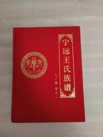 宁远王氏族谱（卷十二）