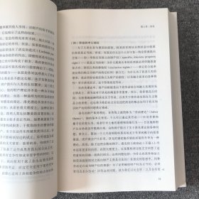 知识产权正当性解释