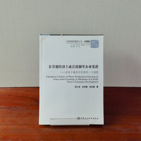 中國國情調(diào)研叢書·鄉(xiāng)鎮(zhèn)卷·在草根經(jīng)濟上成長的鋼琴企業(yè)集群:洛舍鄉(xiāng)鎮(zhèn)經(jīng)濟發(fā)展的一個縮影