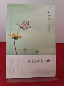 新世界：灵性的觉醒