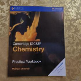 Chemistry Practical Workbook 实拍现货