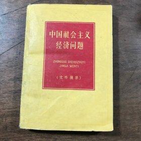中国社会主义经济问题 文件摘录