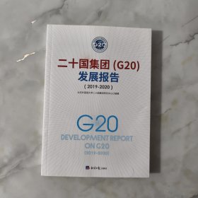 二十国集团(G20)发展报告(2019-2020)