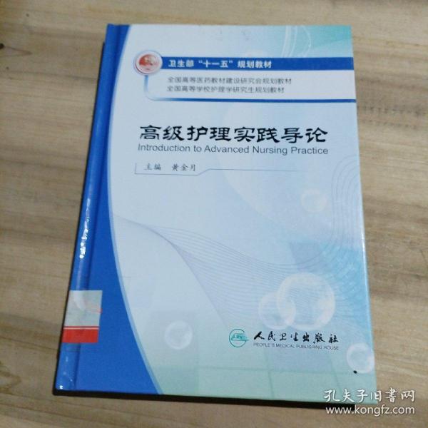 全国高等学校护理学研究生规划教材：高级护理实践导论