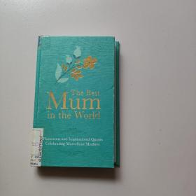 The Best Mum in the World 世界上最好的妈妈