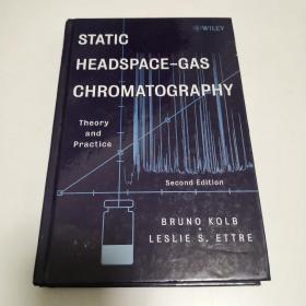 StaticHeadspace-GasChromatography:TheoryandPractice