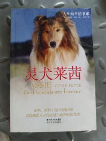 灵犬莱茜