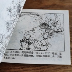 精品连环画：《朝阳花》