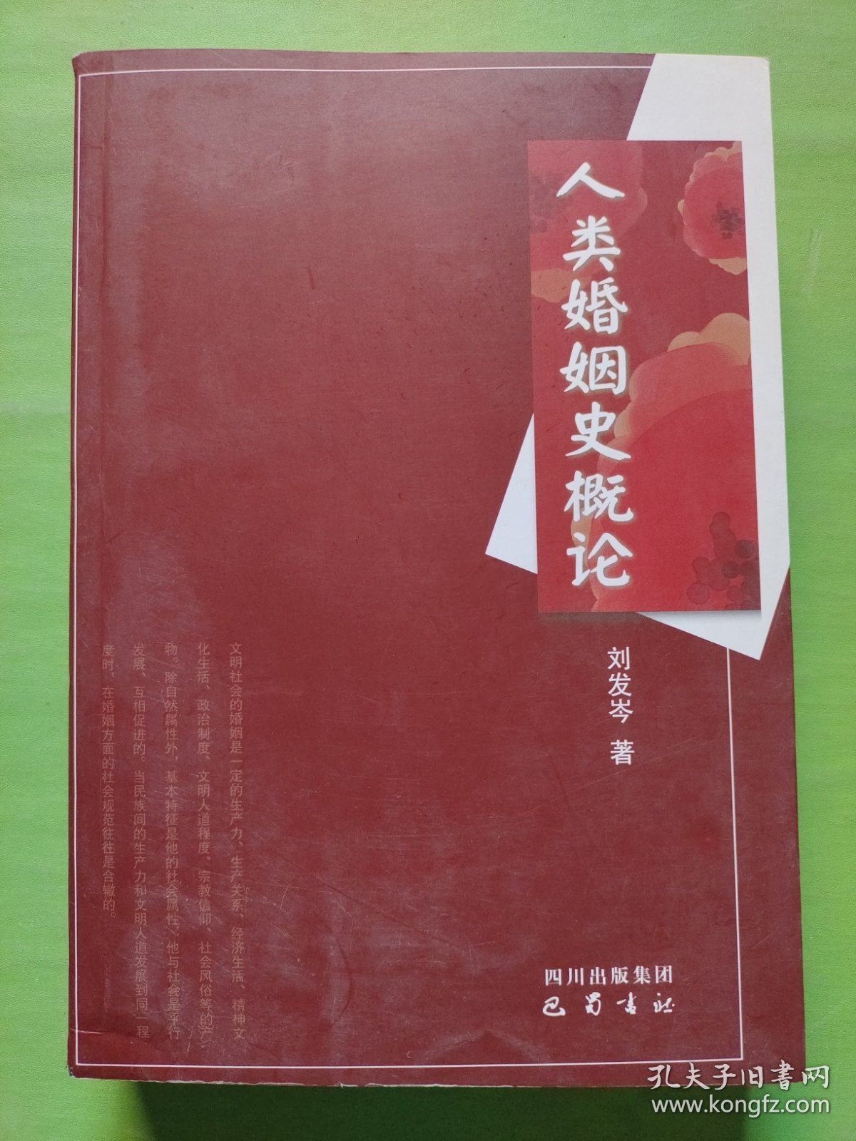 人类婚姻史概论