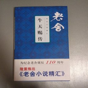 牛天赐传