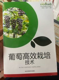 葡萄高效栽培技术