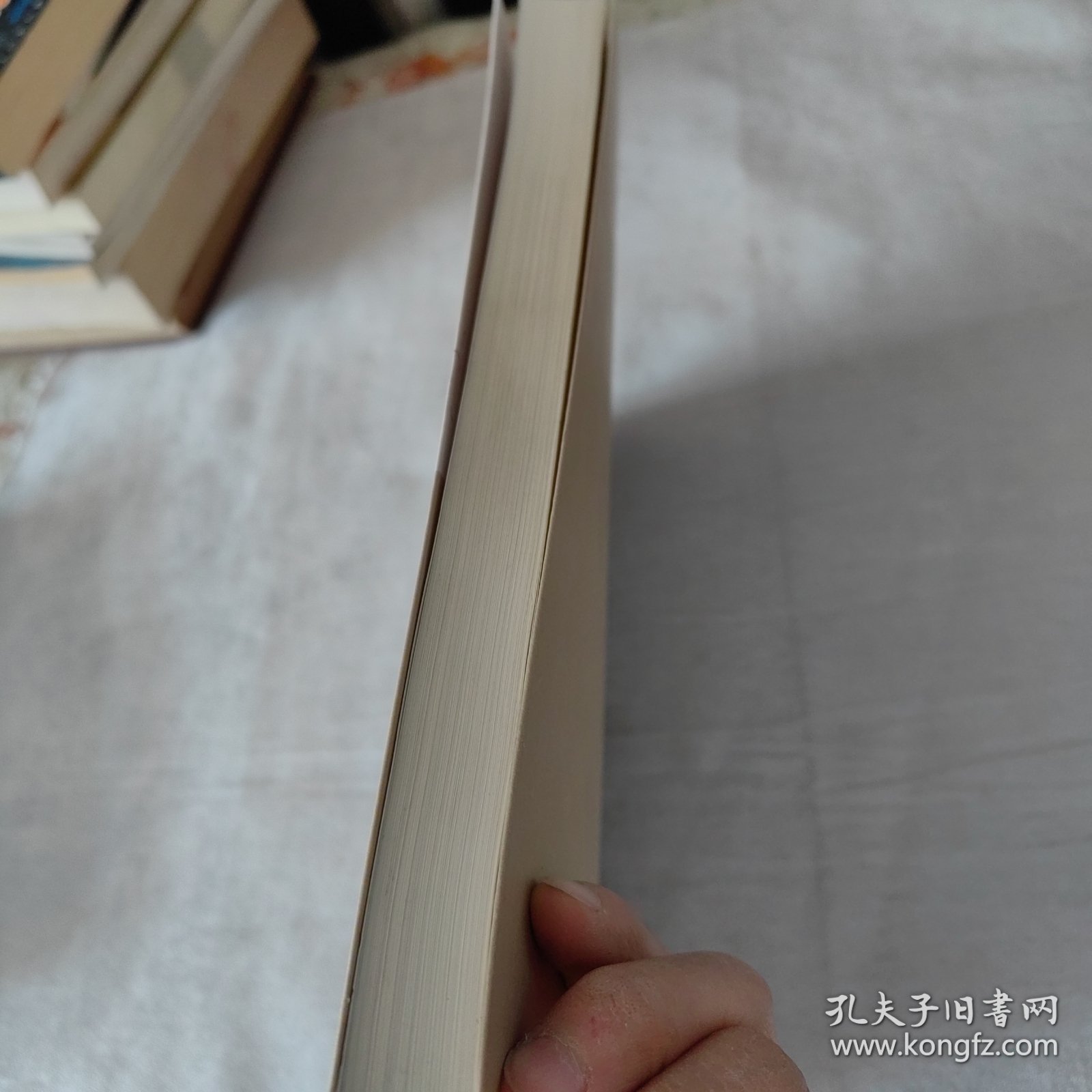 包头史研究续集