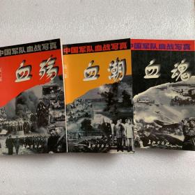 中國軍隊血戰(zhàn)寫真 血殤 血潮 血魂 全三冊