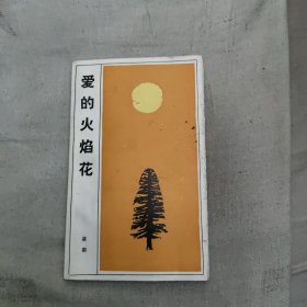 爱的火焰花，4.9元包邮，