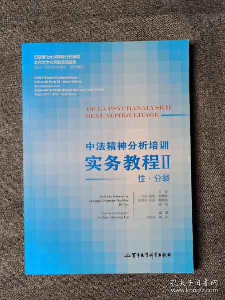 中法精神分析培训实务教程2：性·分裂