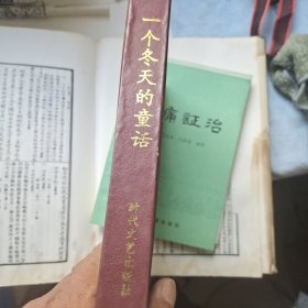 现代文学争议作品宝库 一个冬天的童话