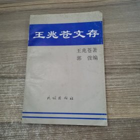 王兆苍文存:中国当代语文教学今昔谈