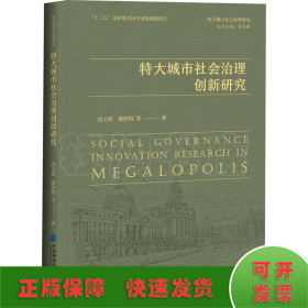 特大城市社会治理创新研究