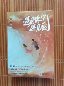 遇见你遇见爱（上下）（两册合售）