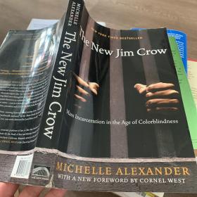 英文原版现货The New Jim Crow：Mass Incarceration in the Age of Colorblindness