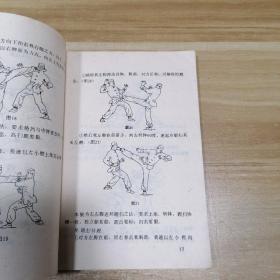 少林二十四腿三十六手