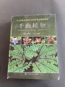 千山植物 摄影画册 全彩图