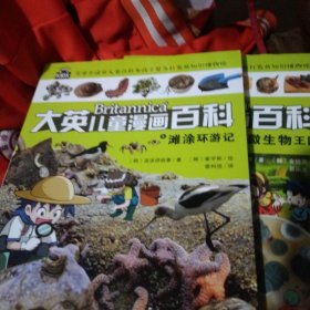 滩涂环游记