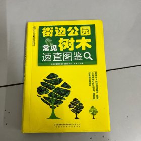 街边公园常见树木速查图鉴