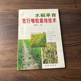 水稻旱育宽行增粒栽培技术