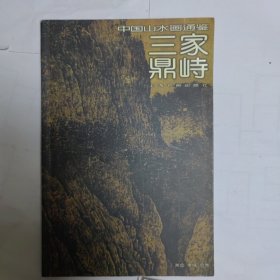 中国山水画通鉴2：三家鼎峙