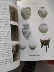 内蒙古文物考古年报（2011年总第8期）