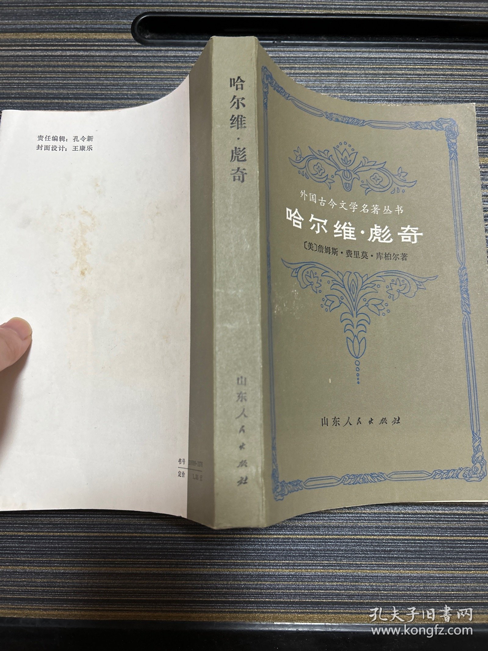 哈尔维 彪奇