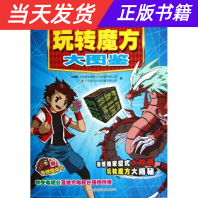 奇博少年·玩转魔方大图鉴