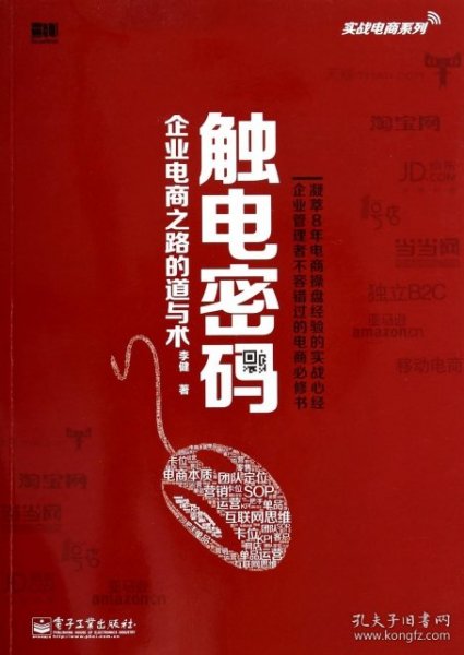 实战电商系列·触电密码：企业电商之路的道与术（全彩）