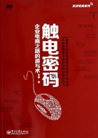 实战电商系列·触电密码：企业电商之路的道与术（全彩）