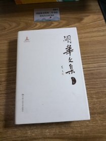 胡华文集（第2卷）