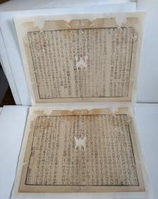 清中期大开本精修《汉书》二页，可作为标本或装饰品