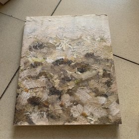 张子康油画作品集（签赠本）