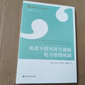 电改下的可再生能源电力价格机制（未拆封）