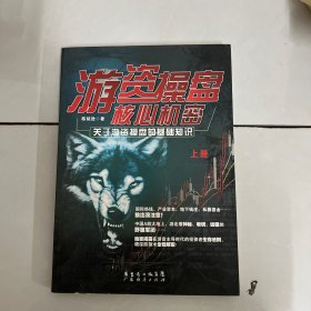 游资操盘核心机密（上册）